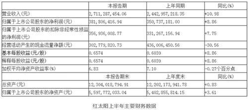 红太阳上半年主要财务数据