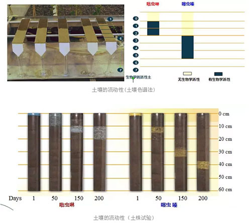 土壤的流动性(土壤色谱法)
